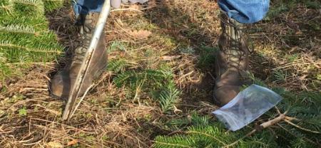 Do you have your soil analysis under control?