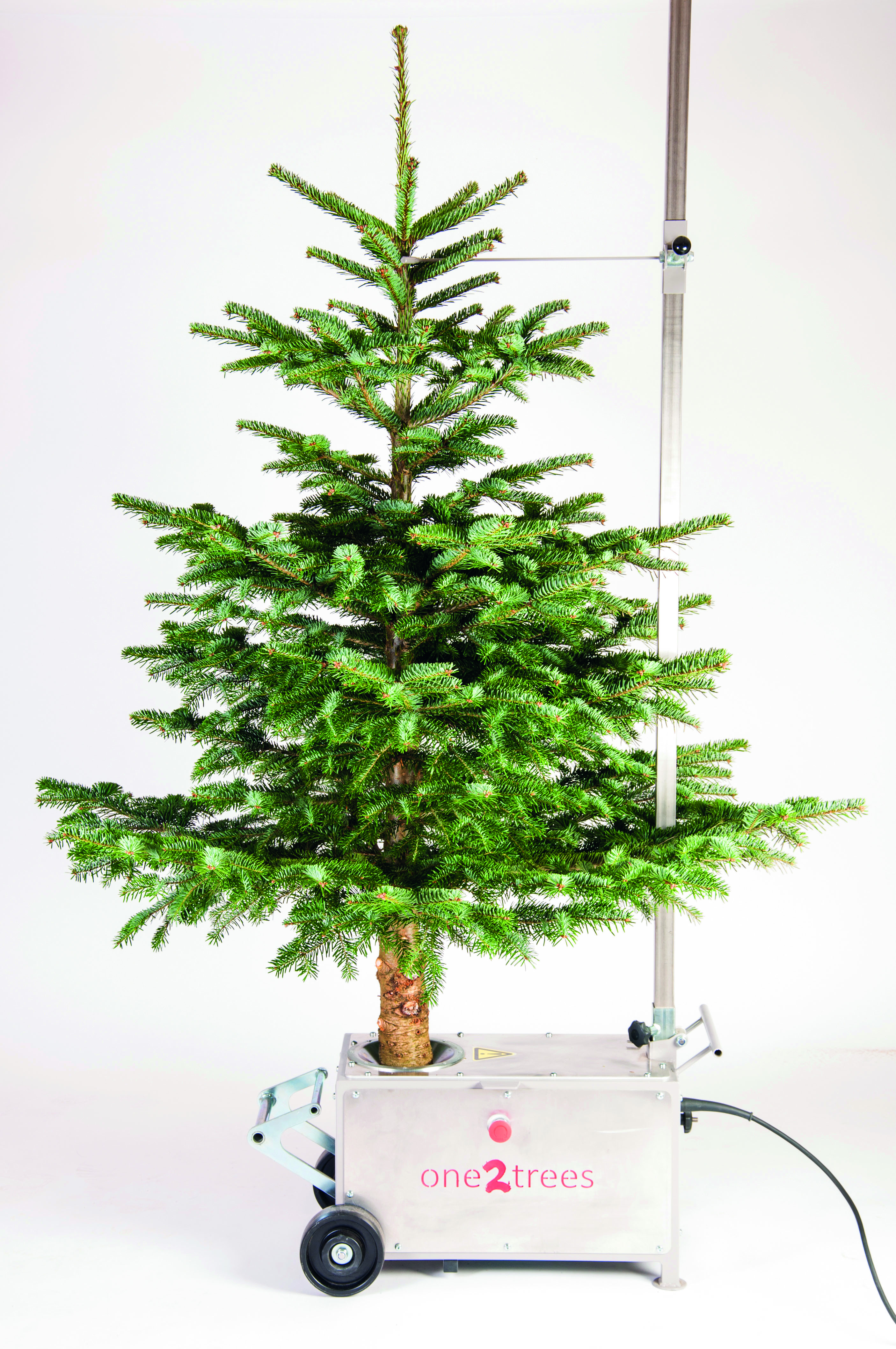 Stand Strait Christmas Tree Drill 